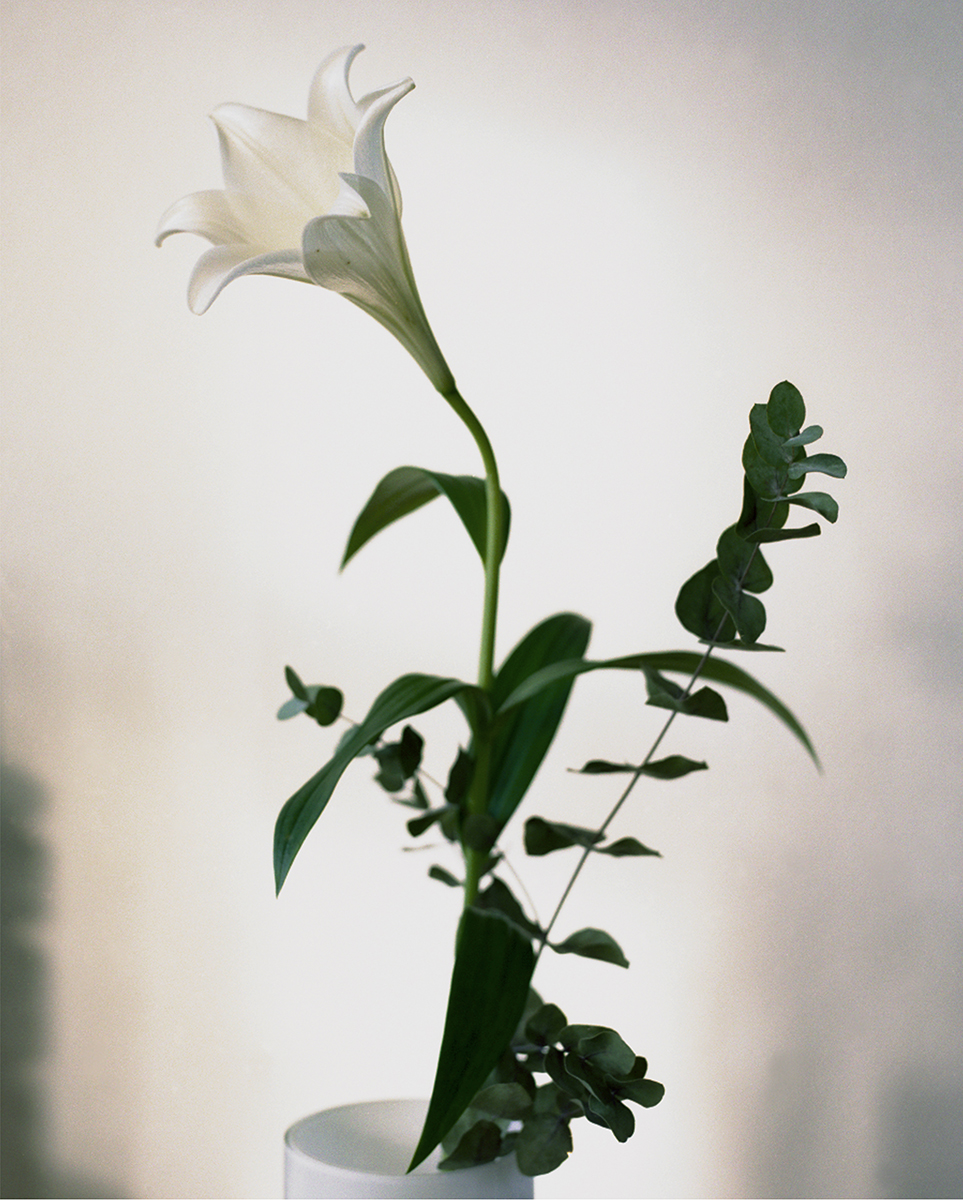 Dan Dryer_deaden_Fotografie